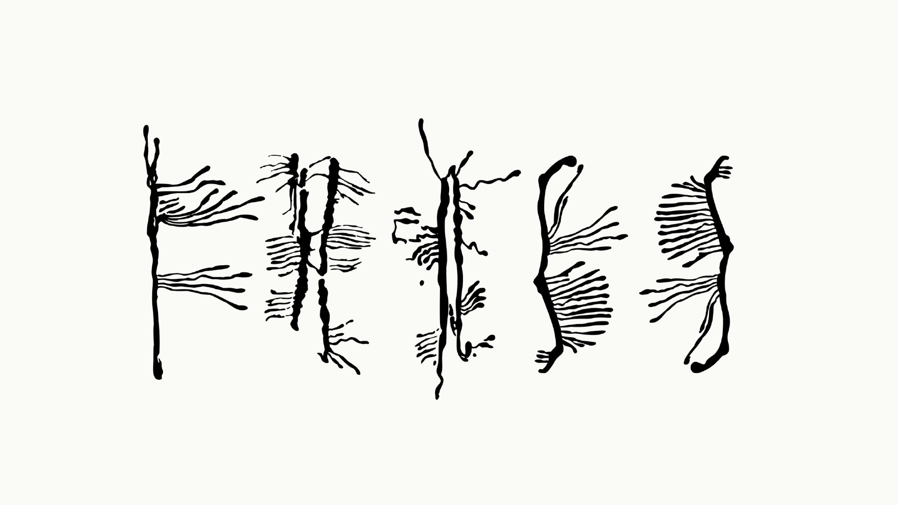 The word FRASS set large in Ips typography, its letters made of branching beetle tunnels.