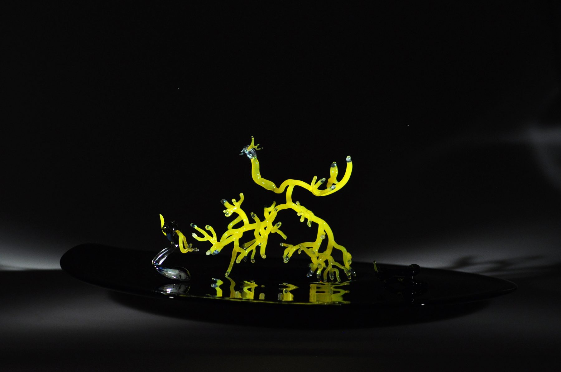 Yellow branching glass sculpture on a black disc, lit from one side