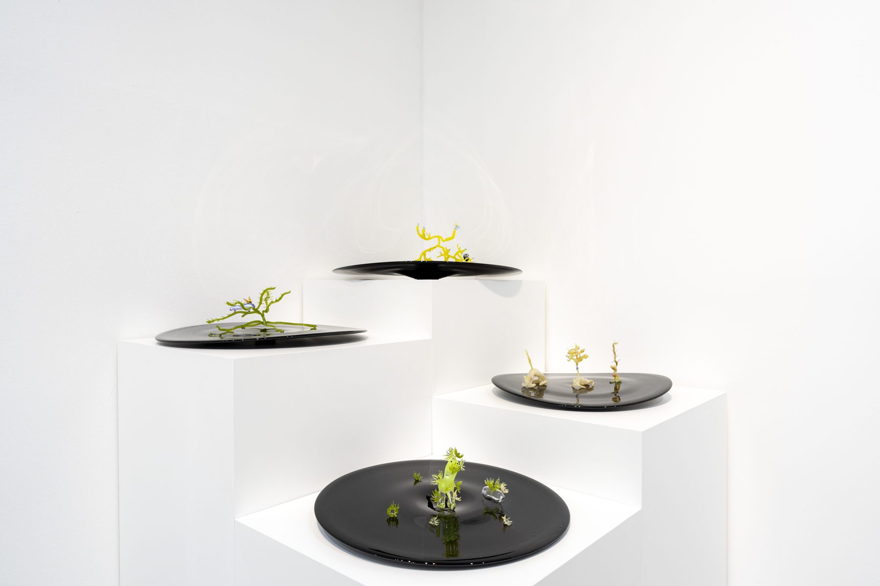 Three black discs with glass sculptures on white plinths in a gallery