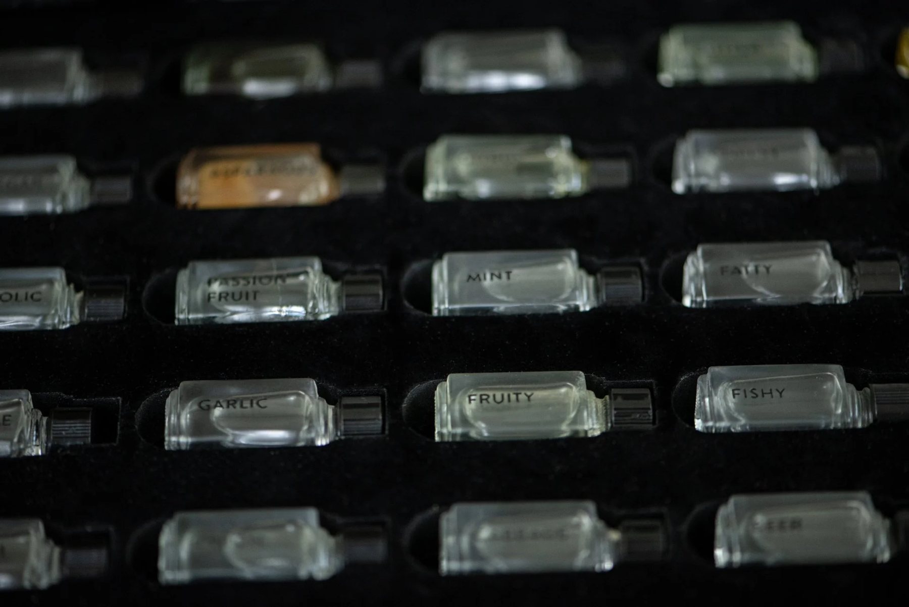 Rows of small labelled glass vials set into the kit.